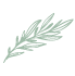 icon 2 small